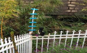 防盜報警系統(tǒng)有哪些種類？